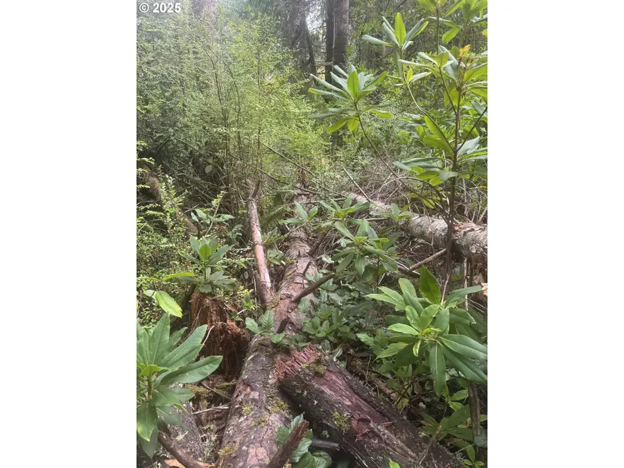 0 Beach Loop Rd, Bandon, OR 97411 - Image #2