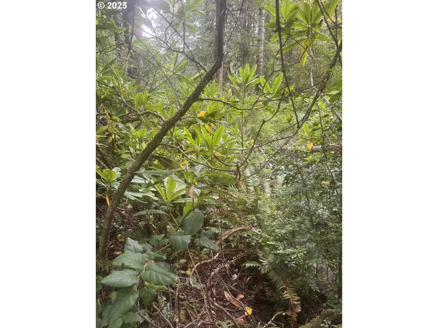 0 Beach Loop Rd, Bandon, OR 97411 - Image #3
