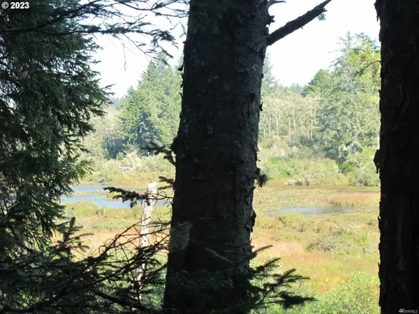 36610 Sand Ln, OceanPark, WA 98640