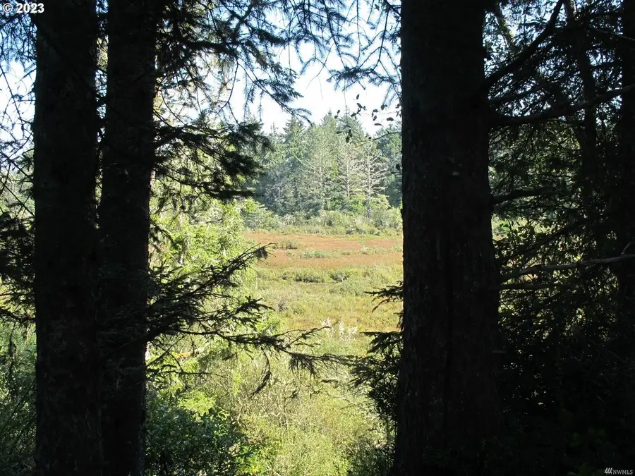 36610 Sand Ln, Ocean Park, WA 98640 - Image #2