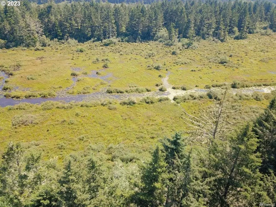 36610 Sand Ln, Ocean Park, WA 98640 - Image #3