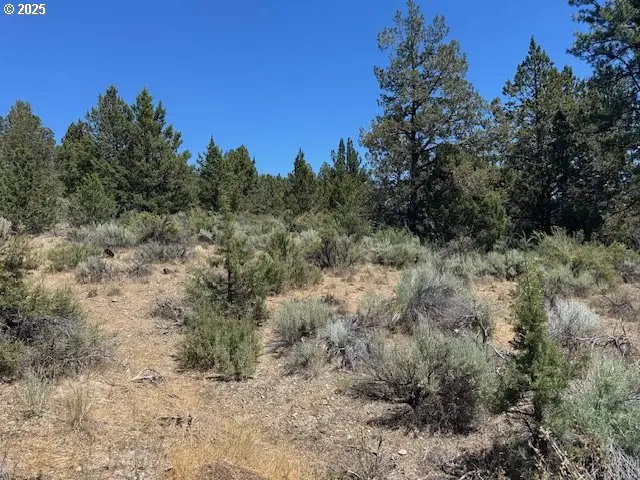 Skamania Street #8, Chiloquin, OR 97624 - #2