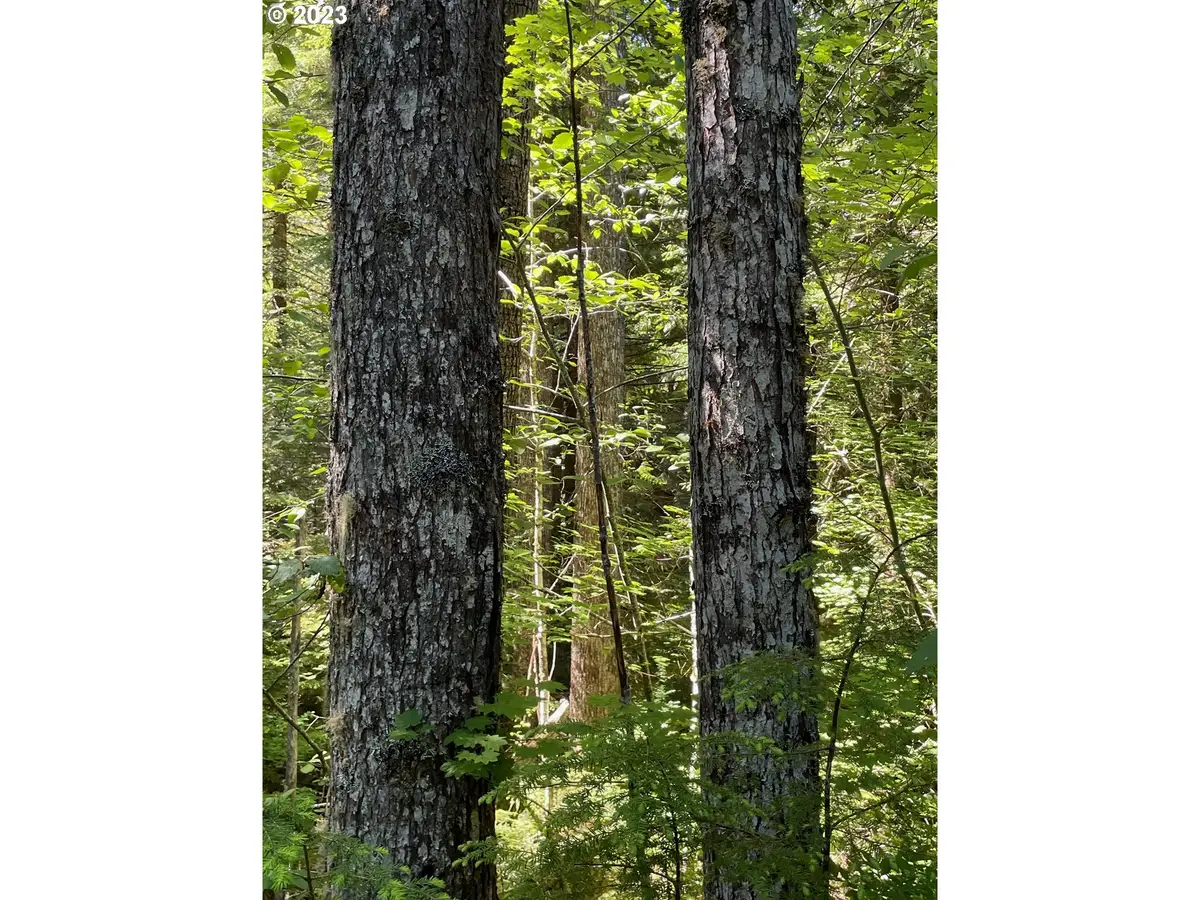 Forest Road 4610, Estacada, OR 97023 - Image #1