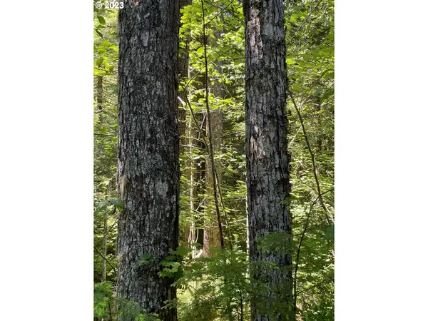 Forest Road 4610, Estacada, OR 97023