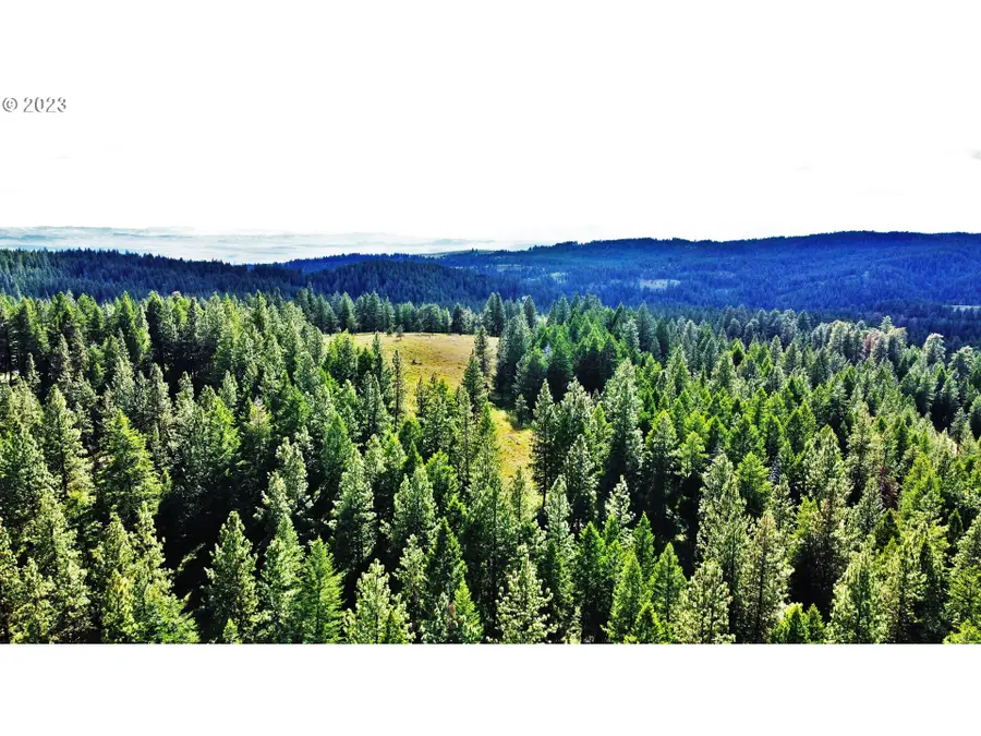 0 Surprise Springs Rd, Eagle Valley, OR 97814 - #3