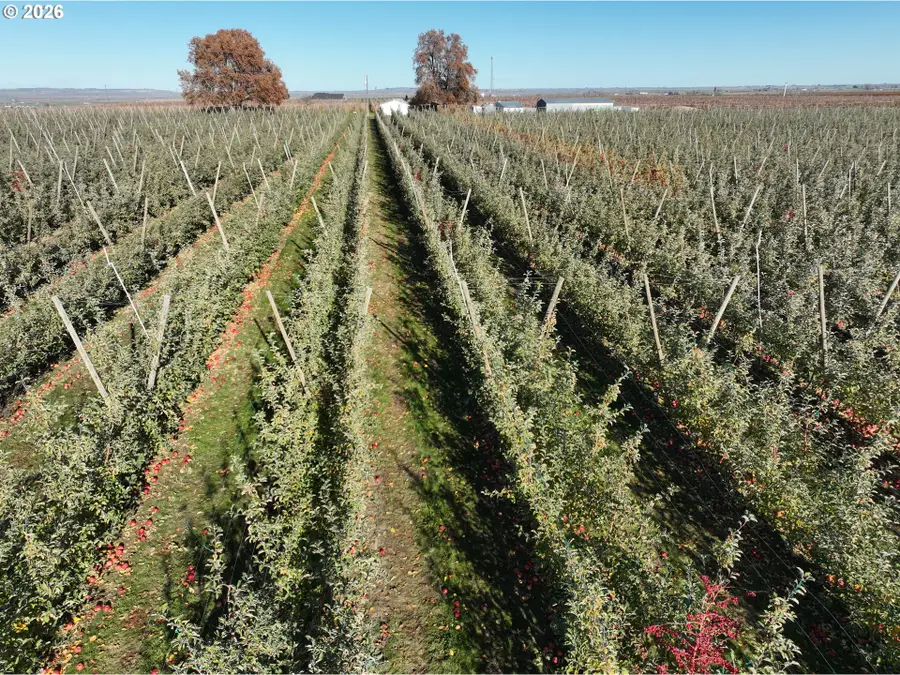 4665 Sheffield Rd, Mesa, WA 99343 - Image #3