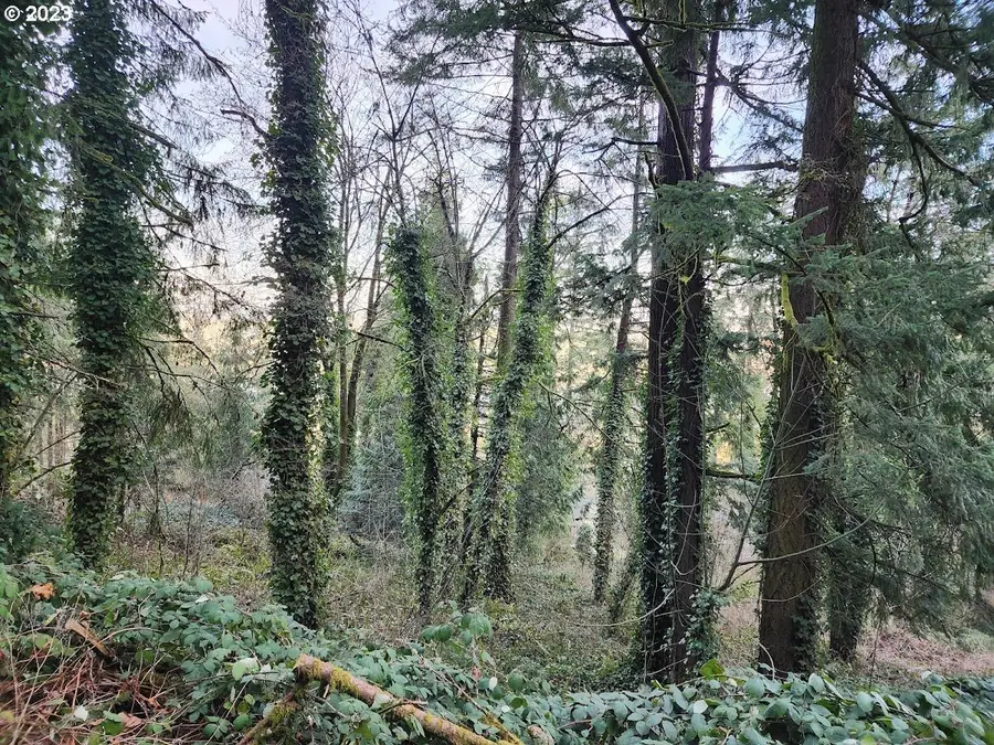 12623 NW Creston Rd, Portland, OR 97231 - Image #2