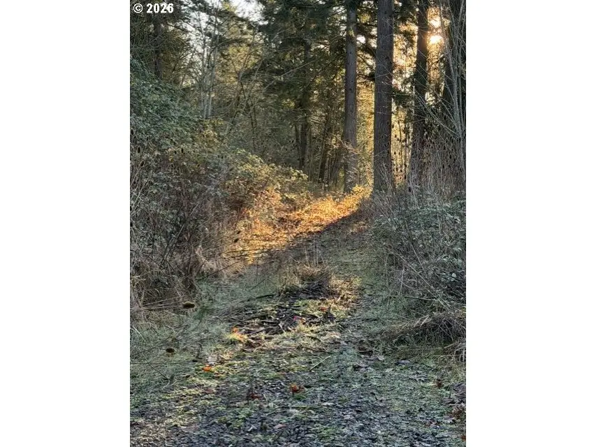 107 Legacy Dr, Woodland, WA 98674 - Image #1