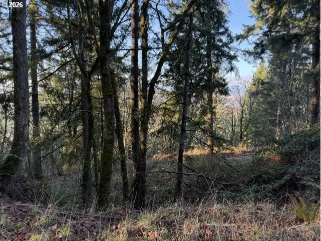 107 Legacy Dr, Woodland, WA 98674 - Image #3