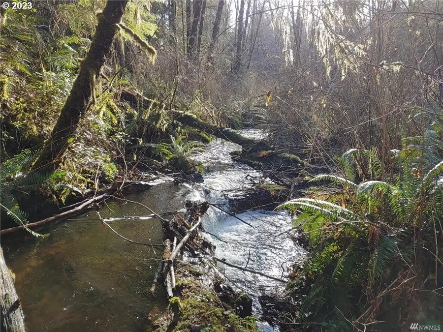 Wynooche-wishkah Rd, Montesano, WA 98563 - Image #2