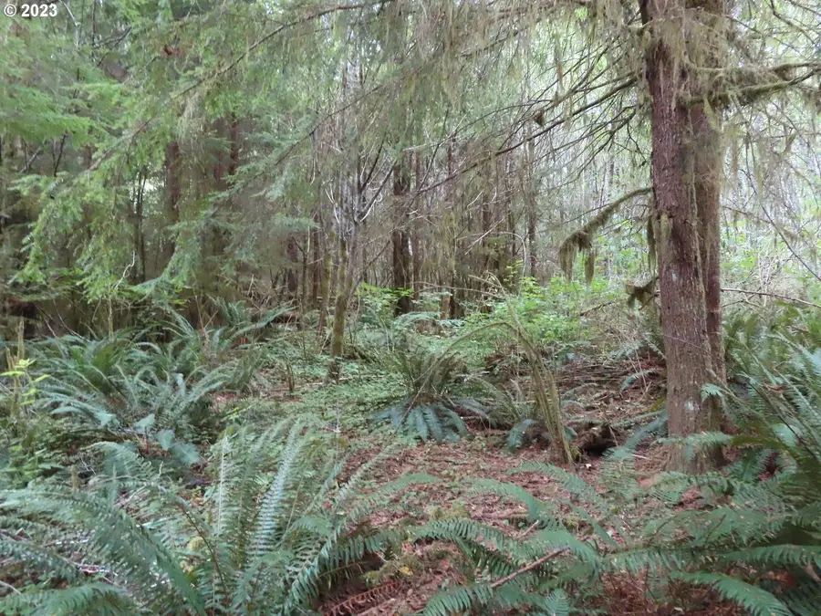 Wynooche-wishkah Rd, Montesano, WA 98563 - Image #3