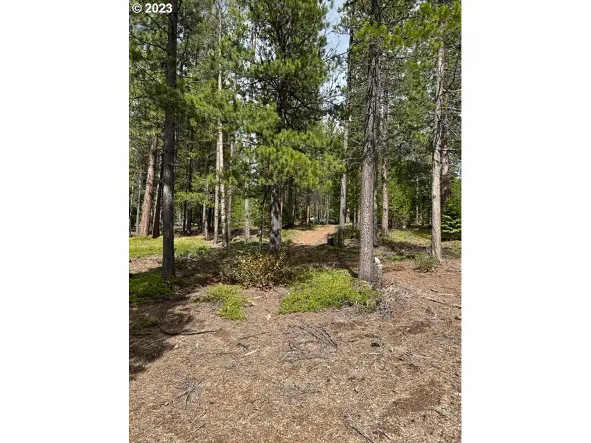 43 Clear Spring Way, Crescent Lake, OR 97733 - Image #2