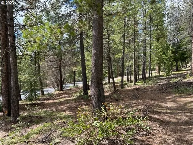 43 Clear Spring Way, Crescent Lake, OR 97733 - Image #3
