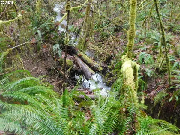 Reid Rd, Scappoose, OR 97056