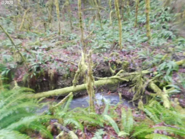 Reid Rd, Scappoose, OR 97056 - Image #3