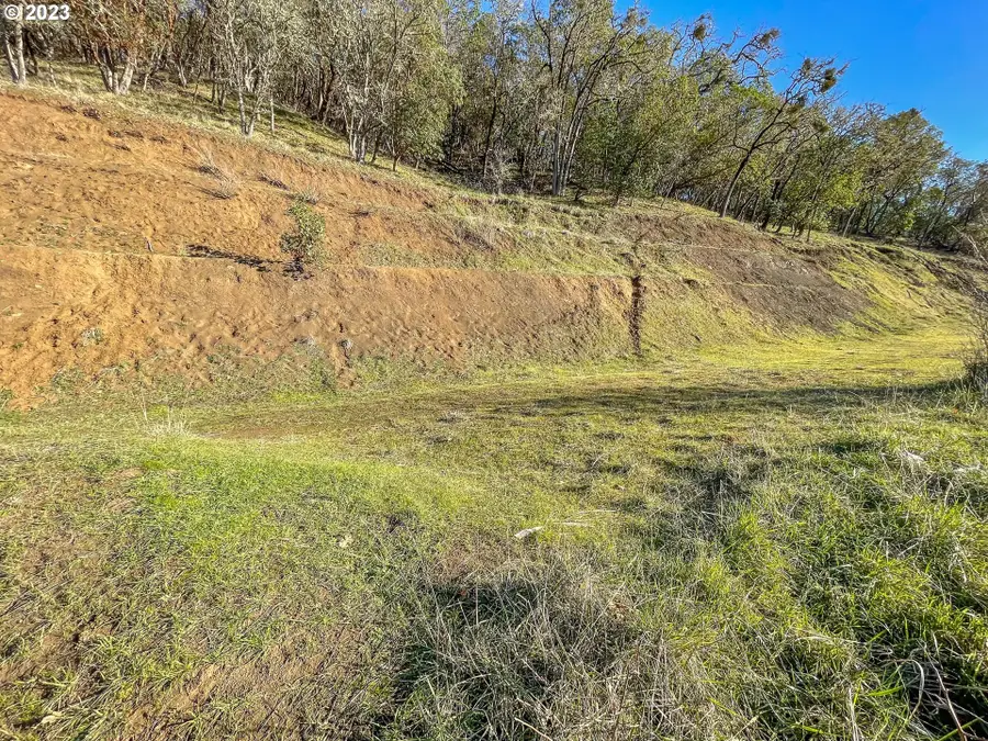 719 North View Dr, Winchester, OR 97495 - Image #3