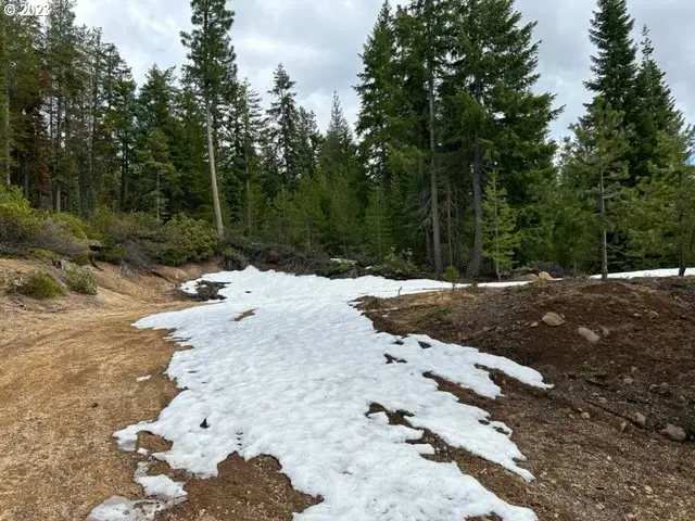 8 Diamond Peak Way, Crescent Lake, OR 97733 - Image #3