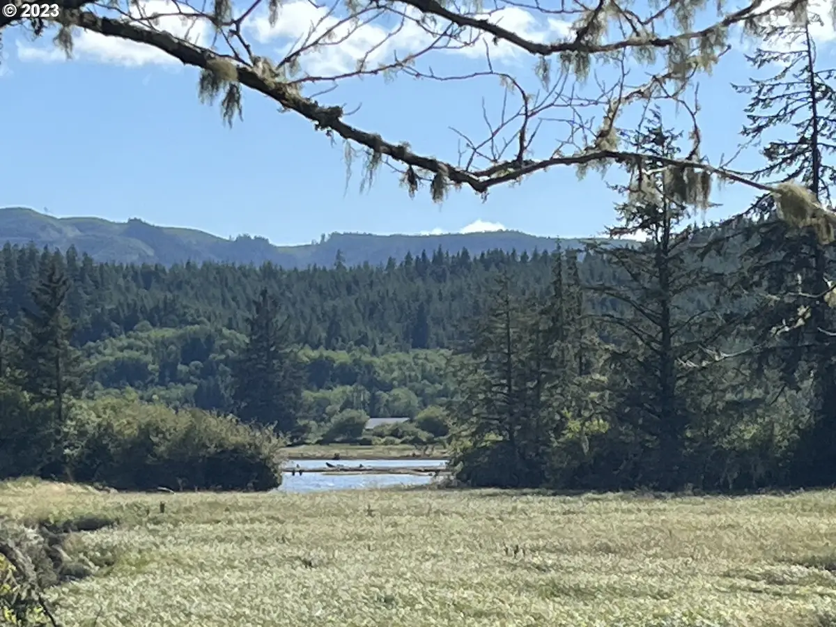 Holm Ln, Naselle, WA 98638 - Image #1