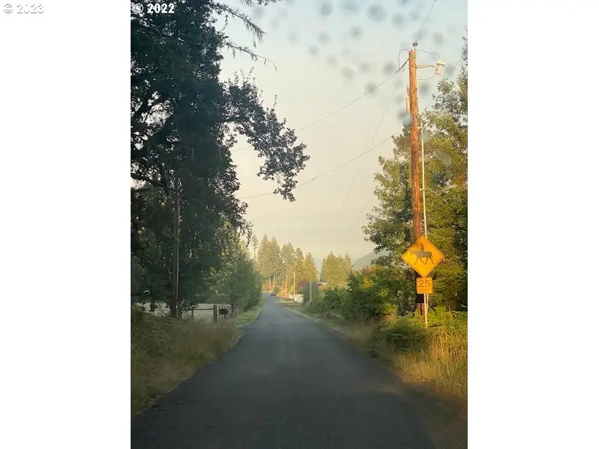 Mcgowan Creek Rd, Springfield, OR 97478 - Image #3