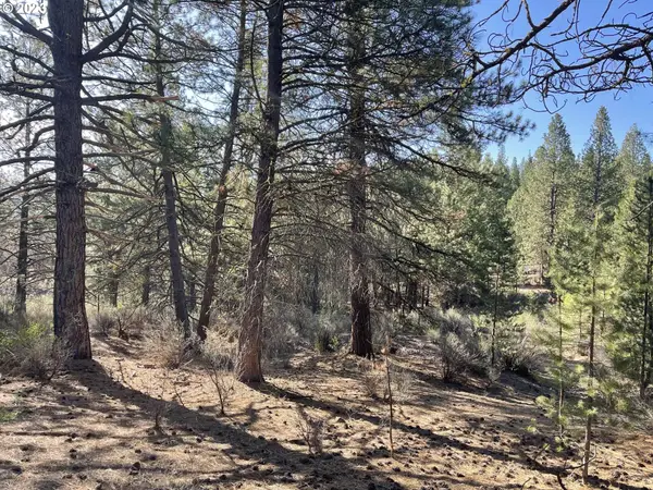 01000 Brook Trout Ln, Chiloquin, OR 97624