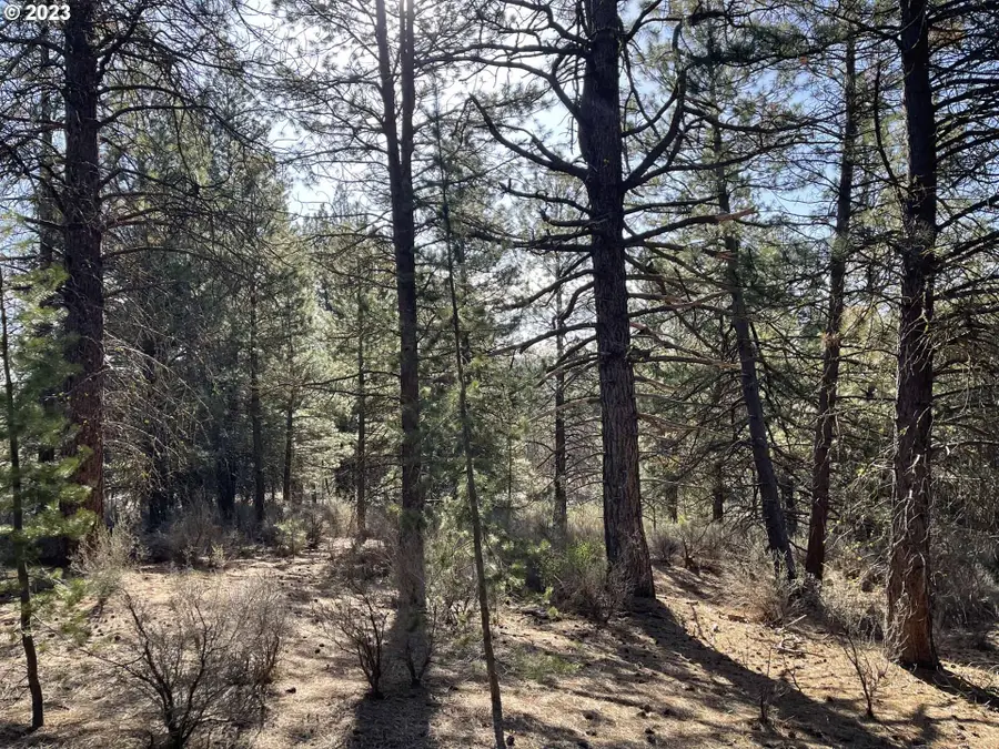 01000 Brook Trout Ln, Chiloquin, OR 97624 - #3