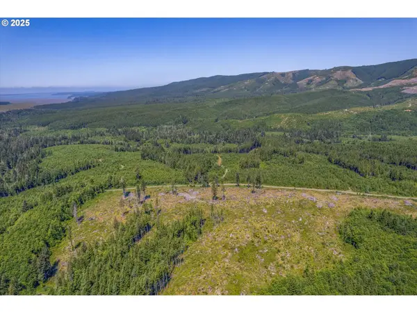 0 Walberg Rd, Chinook, WA 98614