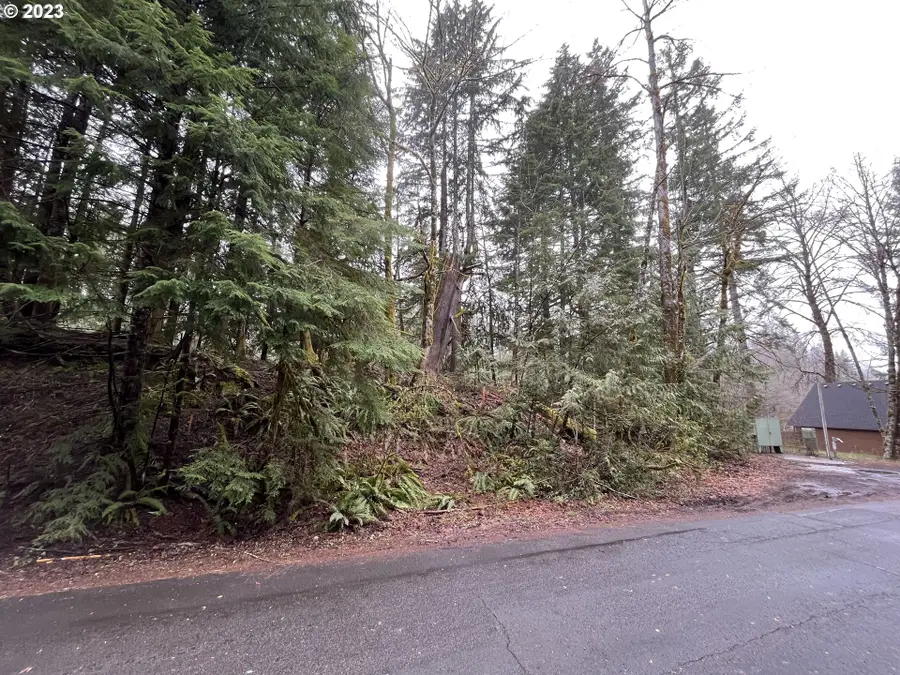 64680 E Sandy River Ln, Rhododendron, OR 97049 - Image #2