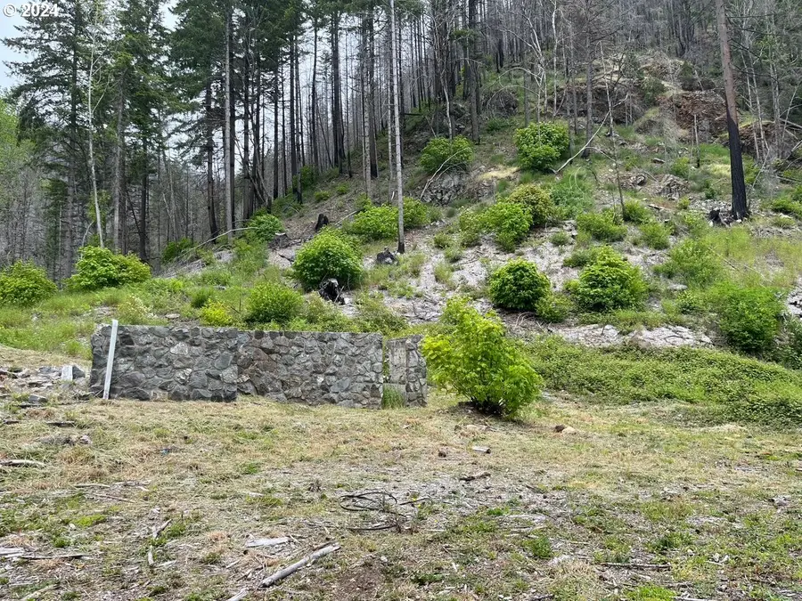 47983 Mckenzie Hwy, Vida, OR 97488 - Image #3