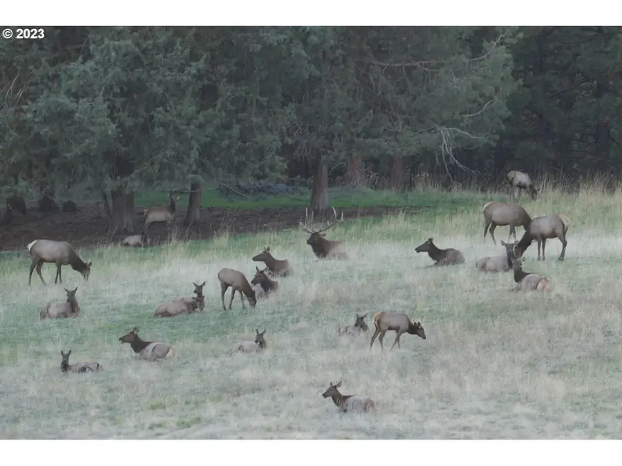 84658 Troy Rd, Wallowa, OR 97885 - Image #2