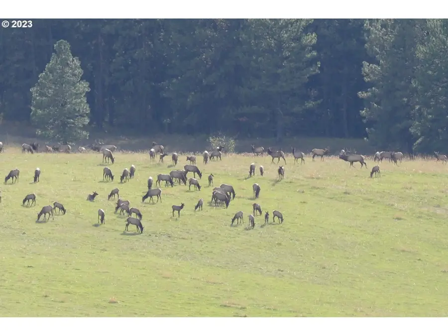 84658 Troy Rd, Wallowa, OR 97885 - Image #3