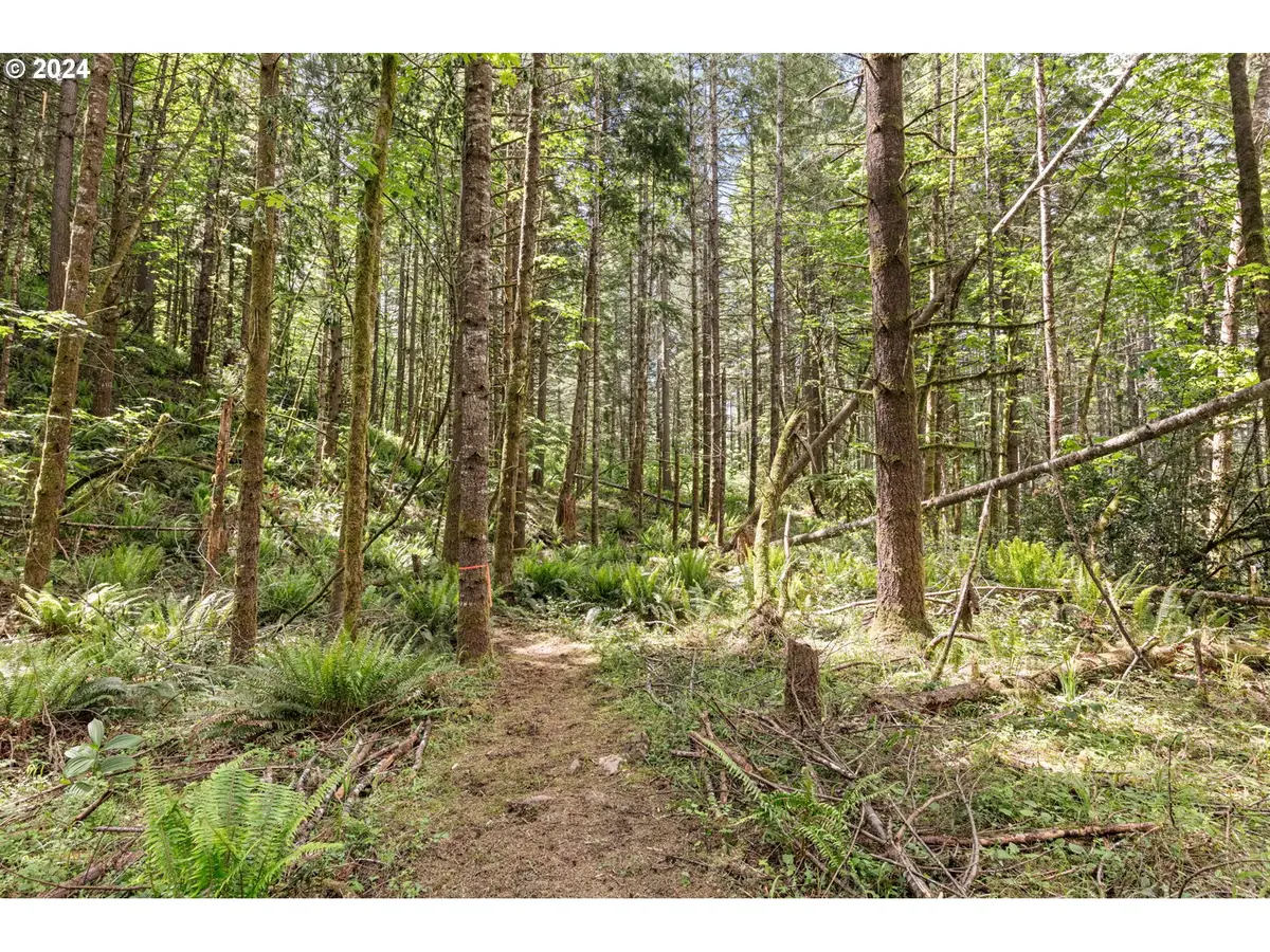 0 Tonga Lane, Springfield, OR 97478 - Image #1