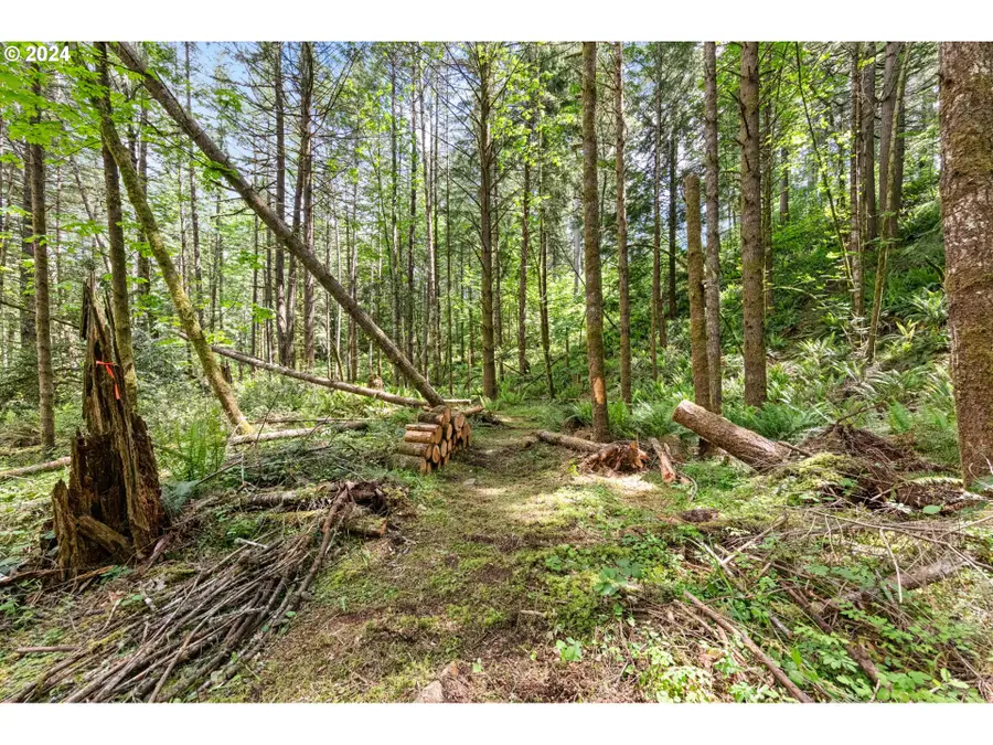 0 Tonga Lane, Springfield, OR 97478 - Image #2