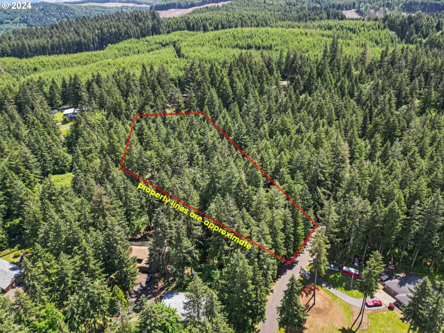 0 Tonga Lane, Springfield, OR 97478 - Image #3