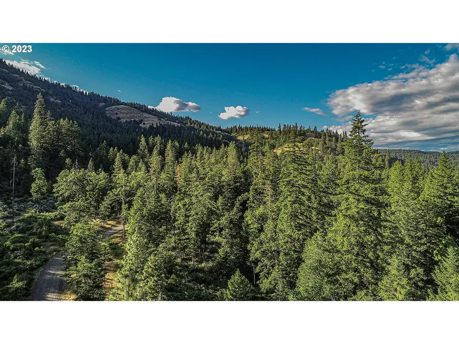 Bear Spring Rd, White Salmon, WA 98672 - Image #3