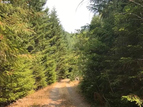 0 Nfd 305 Rd, SweetHome, OR 97386