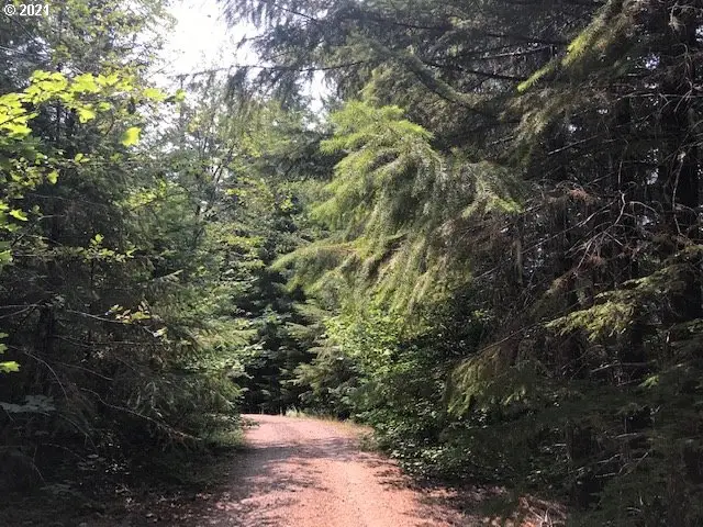 0 Nfd 305 Rd, Sweet Home, OR 97386 - Image #2