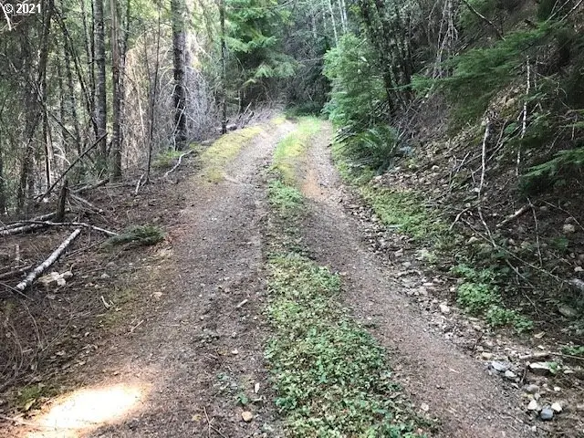 0 Nfd 305 Rd, Sweet Home, OR 97386 - Image #3