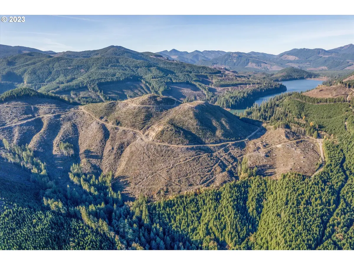 71 Usfs 8100 Rd, Cougar, WA 98616 - Image #1