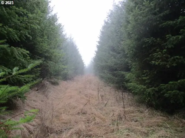 00 Buck Hollow Rd, Sheridan, OR 97378 - Image #1