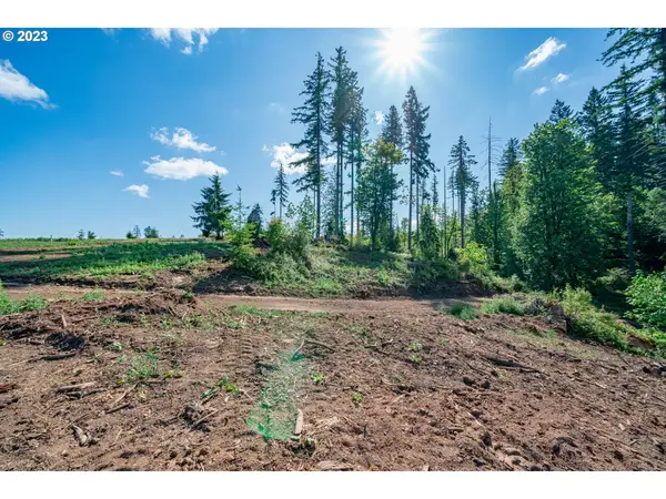 0 S Silver Lake Rd #1, CastleRock, WA 98611