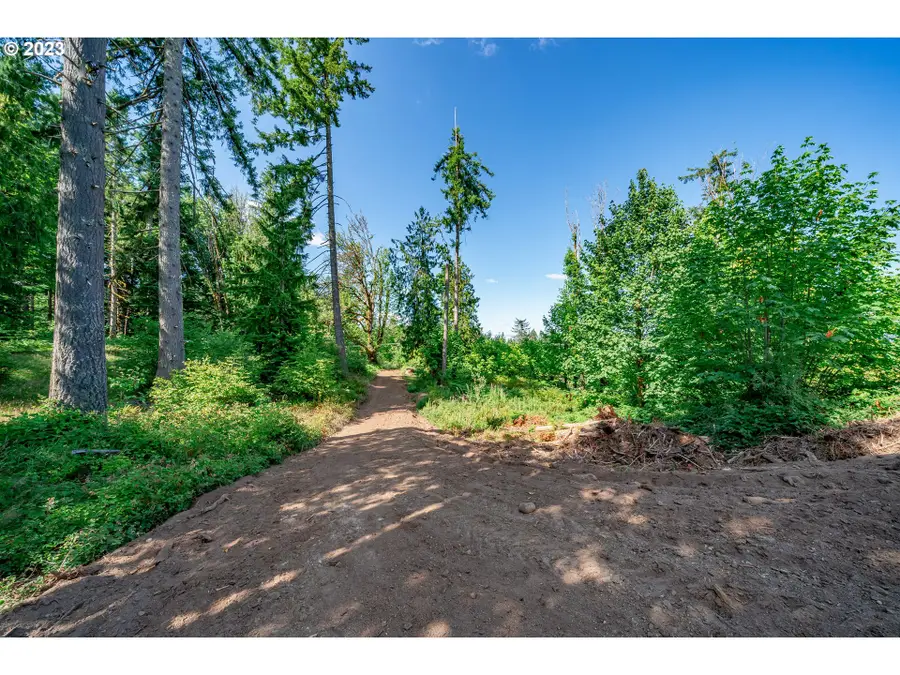 0 S Silver Lake Rd #1, Castle Rock, WA 98611 - Image #2