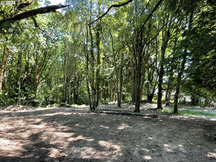 11902 NW Tualatin Ave, Portland West, OR 97229 - Image #3