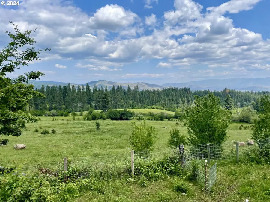 47664 Ryall Rd, Halfway, OR 97834 - #3