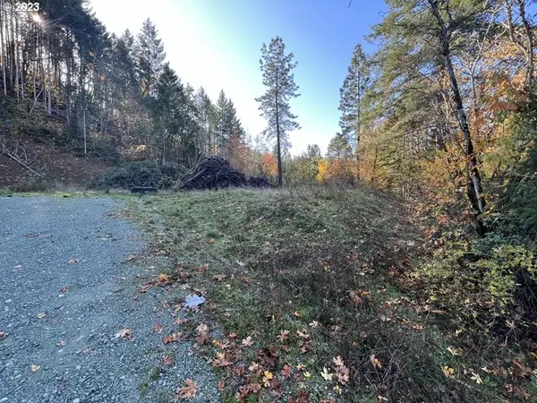 1482 Canyonville Riddle Rd, Riddle, OR 97469