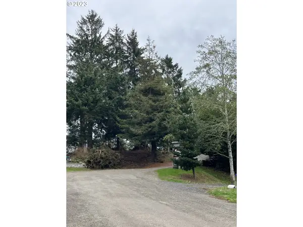 0 241st Pl #68, OceanPark, WA 98640