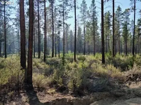 Bitterbrush Ln, Crescent, OR 97733 - Image #3