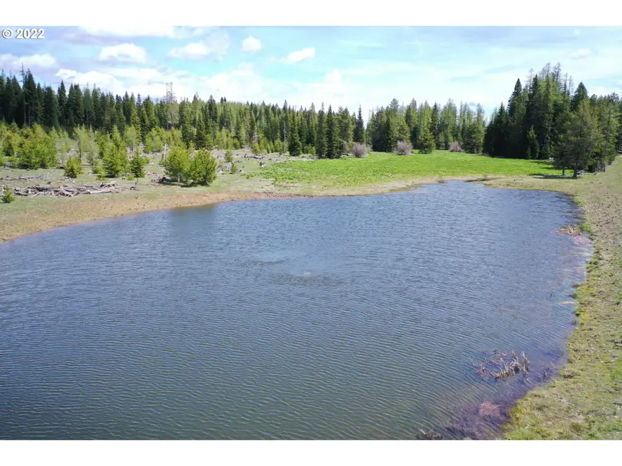 79250 Lookout Mtn Rd, Elgin, OR 97827 - Image #3