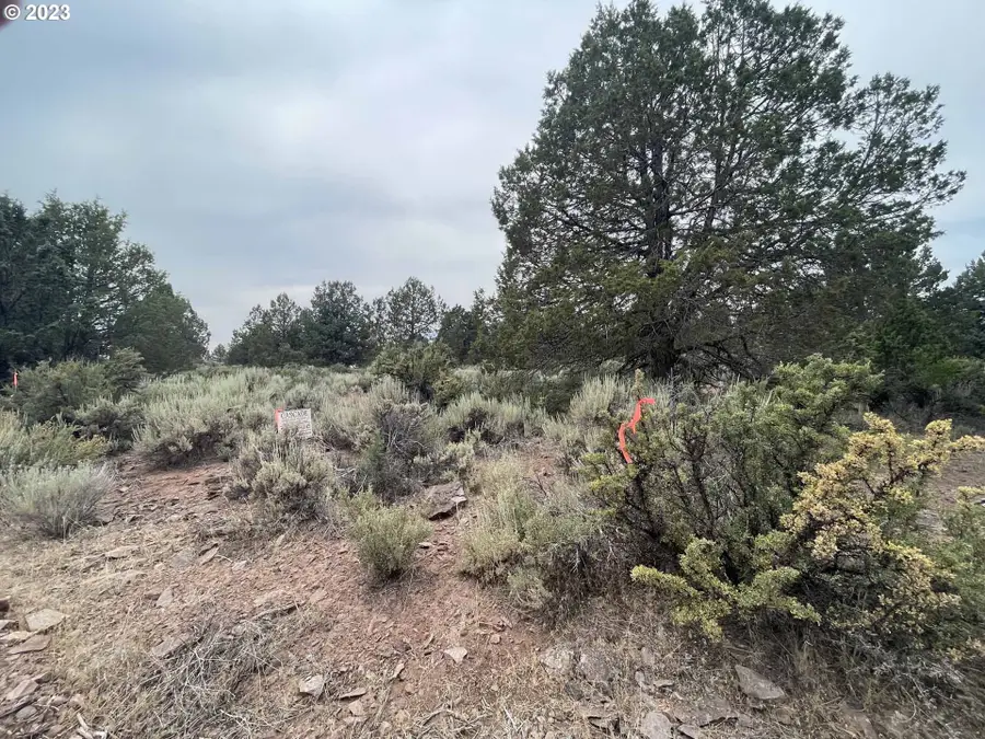 Harney St #22, Sprague River, OR 97639 - #3