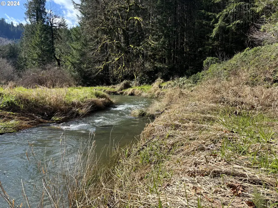 S. Fork Rd, Alsea, OR 97324 - Image #3