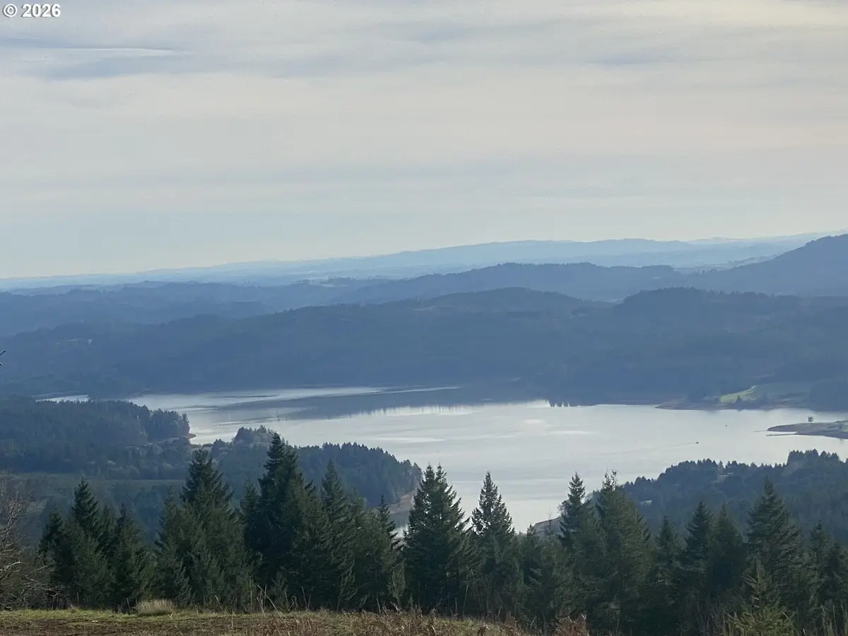 0 SW Stepien Rd, Gaston, OR 97119 - #1